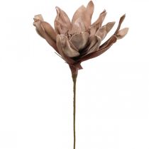 Déco fleur de lotus fleur de lotus artificielle fleur artificielle marron L68cm