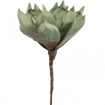 Déco fleur de lotus, fleur de lotus, fleur de soie verte L64cm