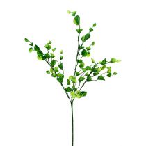 Branche de menthe décorative verte L. 74 cm 6 p.