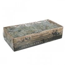 Article Mousse décorative, mousse naturelle grise pour loisirs créatifs, séchée et teinte, 500 g