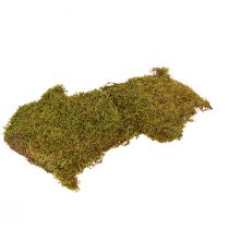 Mousse décorative pour travaux manuels Mousse naturelle vert clair conservée 150g