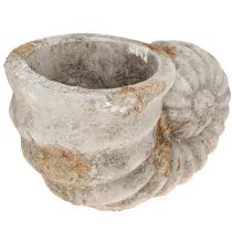 Article Pot de fleurs décoratif aspect pierre coquillage 22,5x13,5x13,5cm