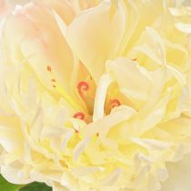 Article Décoration Pivoines Fleurs Artificielles Fleur Jaune L64cm 2pcs
