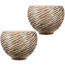Article Bol Décoratif Pot de Fleurs Céramique Beige Marron Ø15cm 2pcs