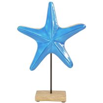 Article Étoile de mer décorative sur socle bois naturel bleu Ø22cm H32cm