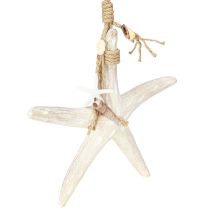 Article Etoile de mer décorative à suspendre Décoration maritime Bois Blanc 30cm