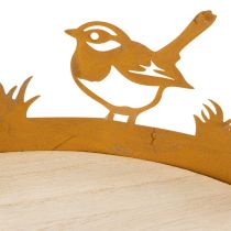 Article Plateau décoratif, décoration de table avec oiseaux, décoration printanière, métal rouillé, Ø 20 cm H 8,5 cm