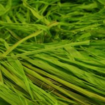 Article Raphia décoratif pour travaux manuels raphia naturel raphia vert pomme 200g
