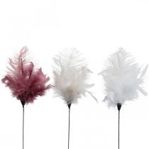 Article Plumes décoratives sur bâton Plumes d&#39;oiseaux Blanc/Crème/Vieux Rose 3 Pièces
