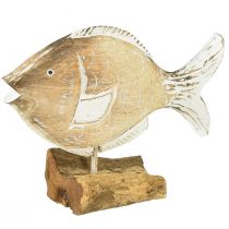 Article Support en bois poisson décoratif sur racine décoration maritime 27cm
