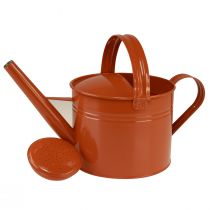 Article Arrosoir décoratif jardinière métal orange marron H26cm 5L