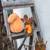 Article Citrouille décorative courbée orange floquée Citrouille décorative artificielle 18cm