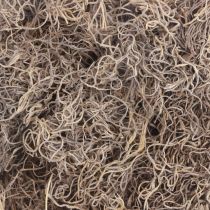 Article Mousse décorative mousse de forêt séchée brun naturel décoration naturelle 300g
