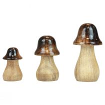 Article Champignons décoratifs champignons en bois marron effet brillant décoration d&#39;automne H6/8/10cm