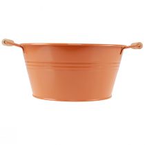 Article Bol décoratif avec anses métal marron orange Ø29cm H14,5cm