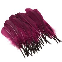 Article Plumes décoratives plumes d'oie bordeaux fournitures artisanales 20g x 2 pièces