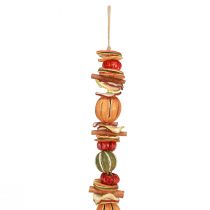 Article Guirlande décorative cintre décoratif automne agrumes séchés guirlande de Noël 75cm