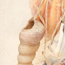 Article Déco maritime à suspendre Beach House Coquillages H25cm