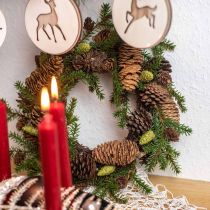 Couronne décorative sapin avec cônes vert Ø25cm