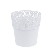 Article Pot déco plastique blanc Ø13cm H13.5cm 1p