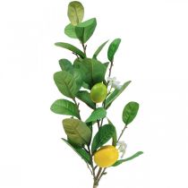 Branche de citronnier déco avec fleurs et fruits H68cm