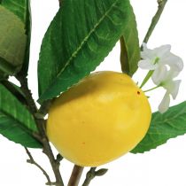 Branche de citronnier déco avec fleurs et fruits H68cm
