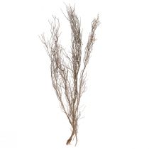 Article Branches décoratives Branches de thym décoratives naturelles séchées 500g
