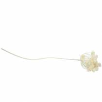 Article Aneth blanc enneigé 117cm