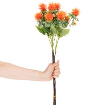 Article Carthame orange artificiel, fleur artificielle pour vases et décoration, 55 cm, lot de 4