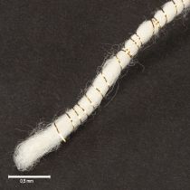 Article Cordon de laine blanc avec fil doré 5m x 5mm avec fil métallique pour décoration et loisirs créatifs