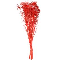 Article Bouquet décoratif d'ombellifères pour mariages et événements