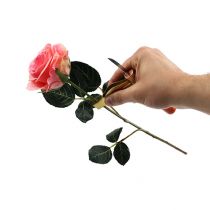 Extracteur d&#39;épines de rose avec couteau
