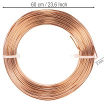 Article Bobine de fil d'aluminium pour loisirs créatifs et art floral, 60 m, 500 g