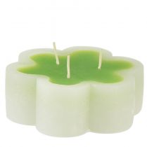 Bougie trois mèches vert blanc forme fleur Ø11,5cm H4cm