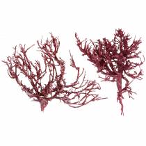 Dekoast branche de corail rouge blanchi 500g