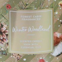 Article Bougie parfumée Bougie Winter Woodland dans un verre Ø9,5cm H10,5cm