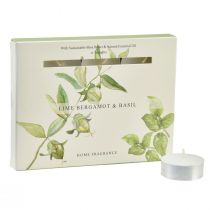 Article Bougies parfumées citron vert bergamote basilic Ø3,5cm 12 pcs
