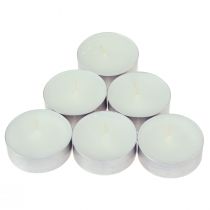 Article Bougies parfumées bougies chauffe-plat pivoine rose pivoine blush Ø3,5cm 12 pcs