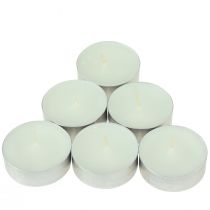 Article Bougies chauffe-plat parfumées vanille musc blanc Ø3,5cm 12 pcs
