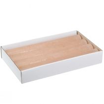 Article Bougies de table de couleur unie abricot 34x240mm 4 pcs