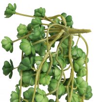 Article Plantes artificielles suspendues Echeveria vertes L12cm L50cm