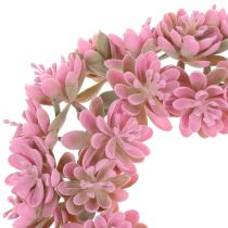 Echeverienkranz Rose Ø18cm 4pièces