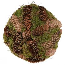 Article Boule décorative véritable cônes avec décor mousse naturelle Ø25cm H25cm