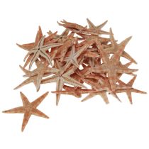 Article Véritable jeune étoile de mer décoration de table maritime 3,5-5 cm 100 pièces