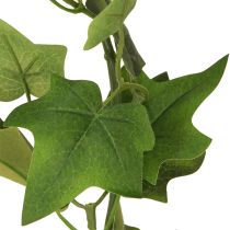 Article Guirlande de lierre artificiel vert avec 2 œillets L150cm