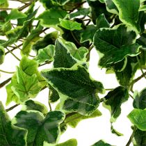 Cintre Ivy real-touch vert-blanc 130cm