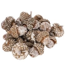 Article Glands, produit naturel de décoration, blanchis à la chaux, 1-3 cm, 300 g