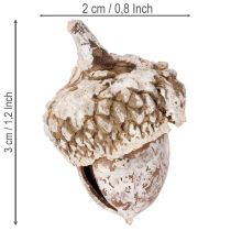 Article Glands, produit naturel de décoration, blanchis à la chaux, 1-3 cm, 300 g