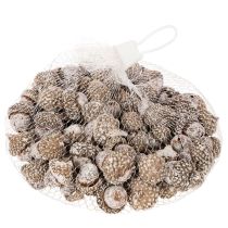 Article Glands, produit naturel de décoration, blanchis à la chaux, 1-3 cm, 300 g