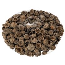 Article Coupes décoratives en forme de glands naturels, pour l'automne et l'Avent, 2 cm, 300 g